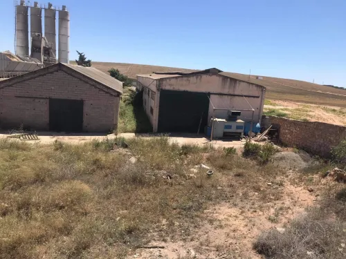 Vente Terrain Oran Sidi chami