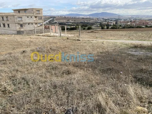 Vente Terrain Constantine Constantine
