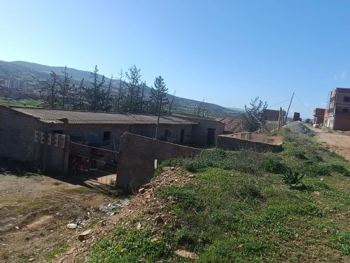 Vente Hangar - Usine Tlemcen Nedroma