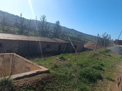 Vente Hangar - Usine Tlemcen Nedroma