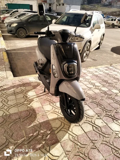 Vms Estate x 2023