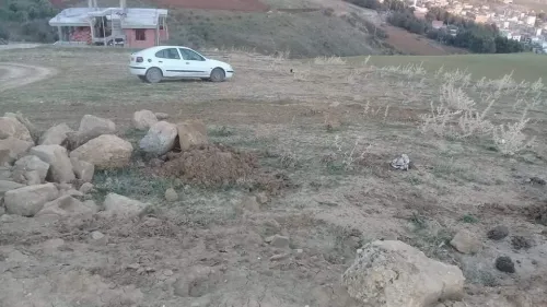 Vente Terrain Sétif Beni aziz