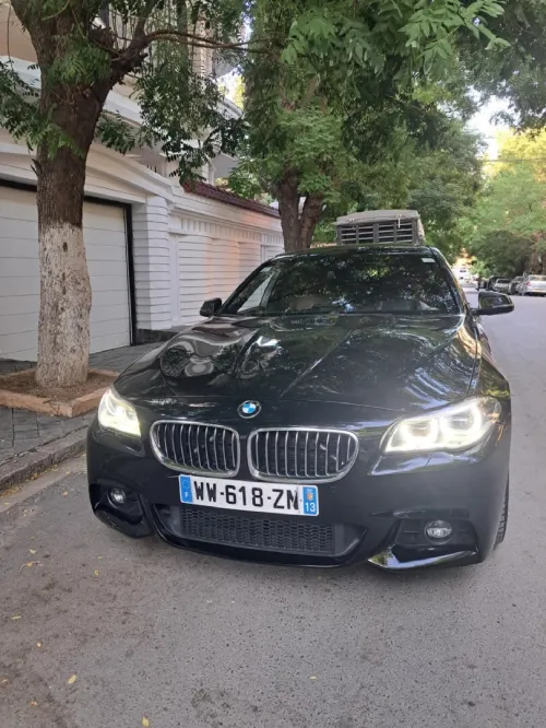 BMW Série 5 2016 Sport M