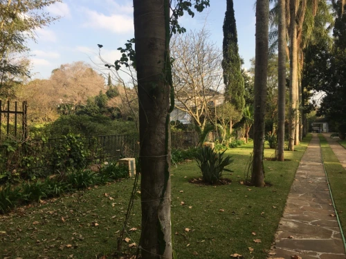 Location Villa Alger Hydra