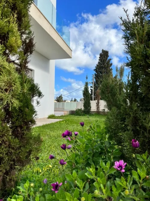 Location Villa Alger Hydra