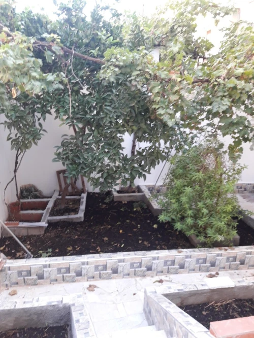 Location bien immobilier Guelma Guelma