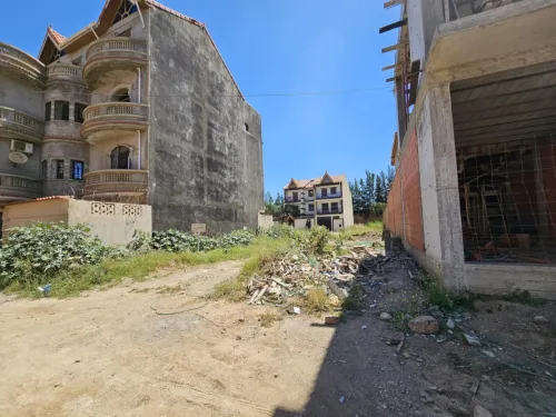 Vente Terrain Blida Chiffa