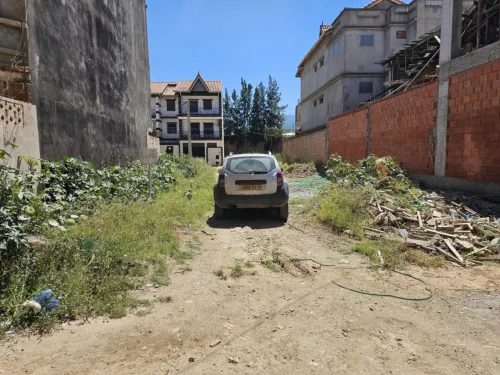 Vente Terrain Blida Chiffa