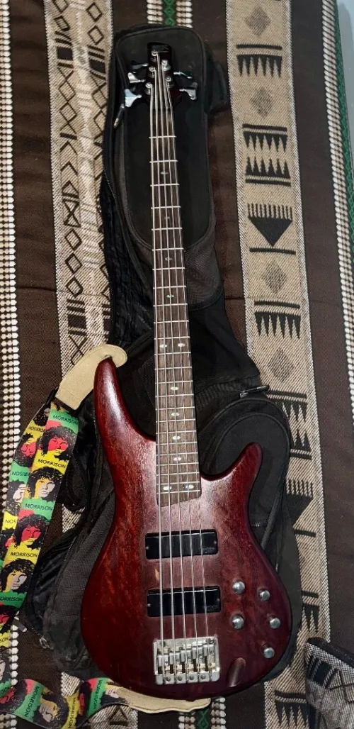 ibanez Sr 505