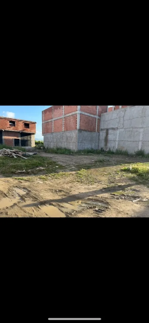 Vente Terrain Blida Bougara