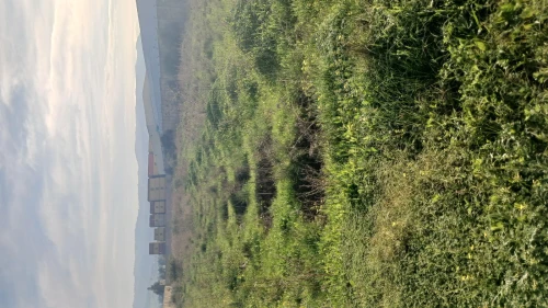 Vente Terrain Boumerdès Khemis el khechna