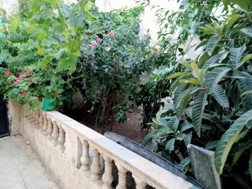 Vente Villa Souk Ahras Ain sanour