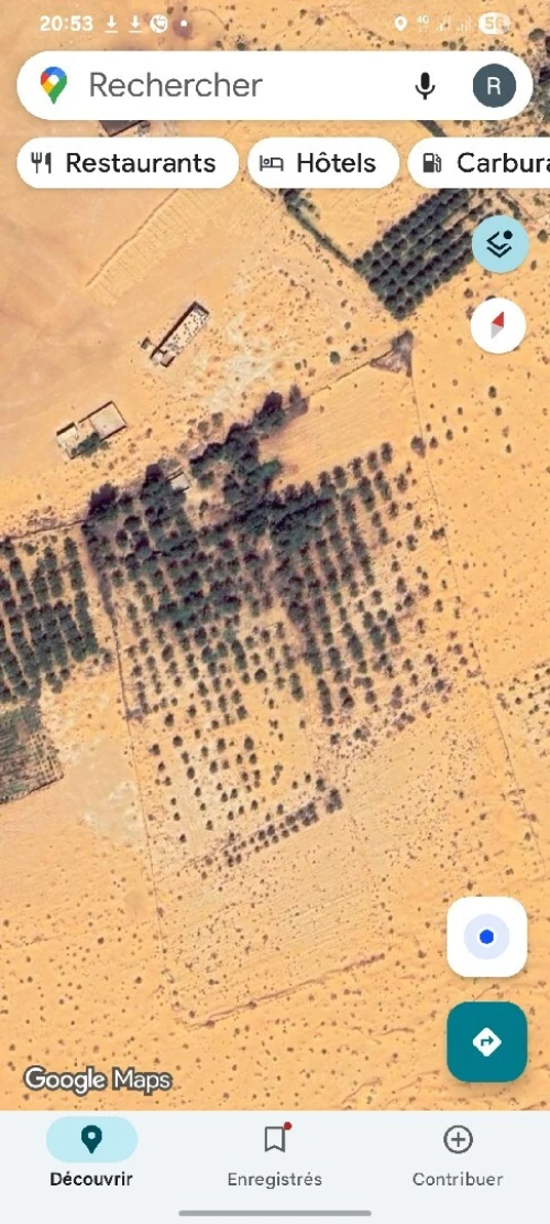 Vente Terrain Agricole Ghardaïa Mansoura