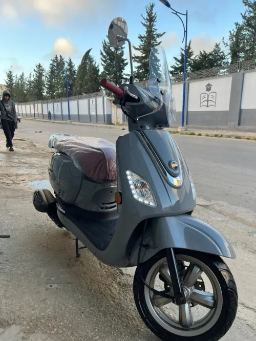 Sym Fiddle 3 2024