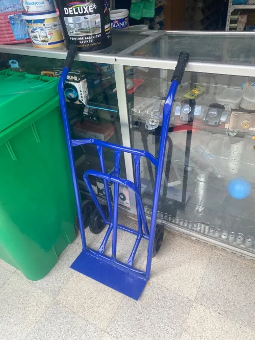 capacité de charge élevée, souvent autour de 300 kg