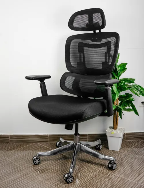 Chaise Ergonomique