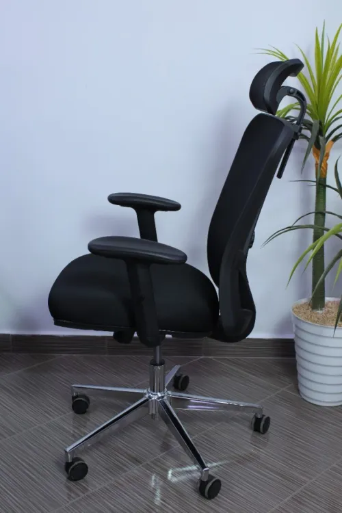 Chaise Ergonomique