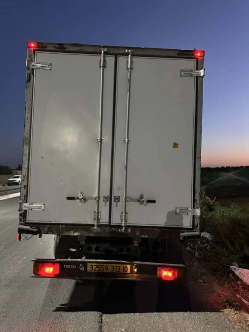 Iveco Leoncino 2013