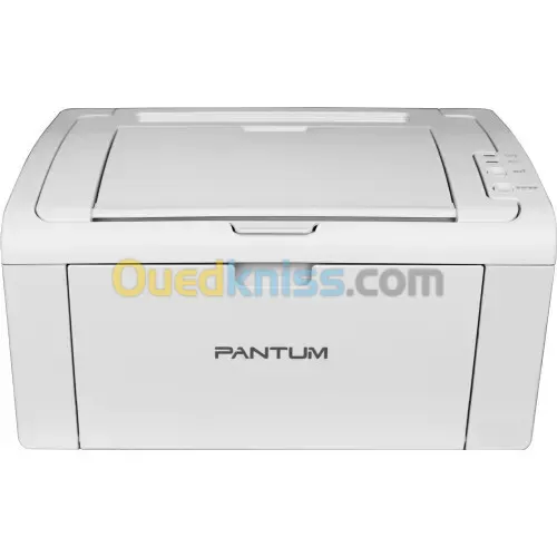 IMPRIMANTE PANTUM P2509 LASER A4 NOIR ET BLANC 22PPM