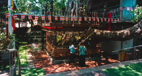 Splendeur du Sri Lanka - - Circuit de 8 jours et 7 nuits au Sri Lanka mois de Mai le prix a partir de 337 999 DA