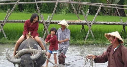 Circuit organisé au Vietnam de 10 Jours le prix est a partir 348 999 DA
