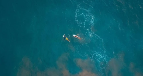 Splendeur du Sri Lanka - - Circuit de 8 jours et 7 nuits au Sri Lanka mois de Mai le prix a partir de 337 999 DA