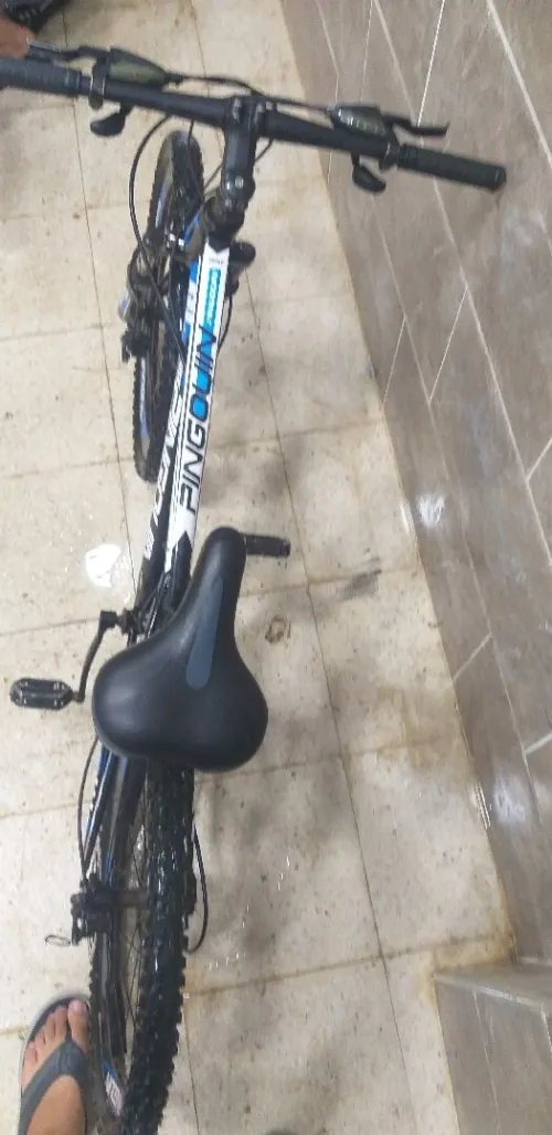 Vélo pingouin 24 pouse