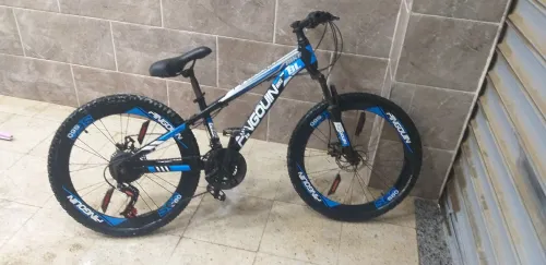 Vélo pingouin 24 pouse