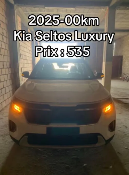 Kia Seltos 2025 Fuul option