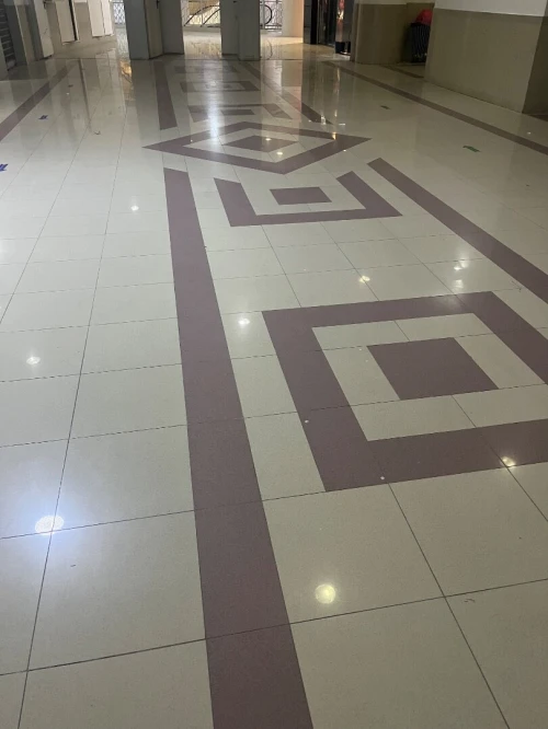 Vente Local Alger Cheraga