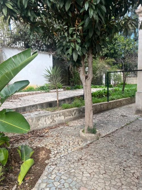 Vente Villa Alger Hydra