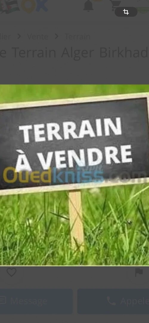 Vente Terrain Alger Hussein dey