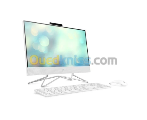  ALL IN ONE HP200 G4 CORE I3 10115 U / HDD 1TB /  RAM 4GB / ECRAN 22 PUCE FULL HD IPS