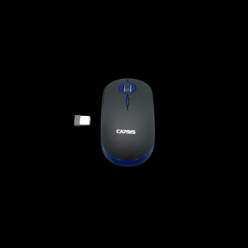 Capsys W660 Wireless Mouse Bluetooth 2 4G USB 10 m Portable Optical Mouse