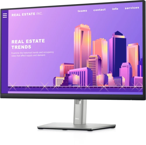 Dell P2422H 24 Ecran LED Full HD 60Hz IPS HDMI VGA DP
