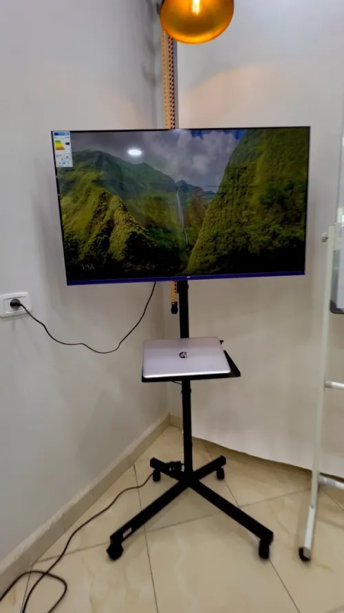 Support TV mobile professionnel