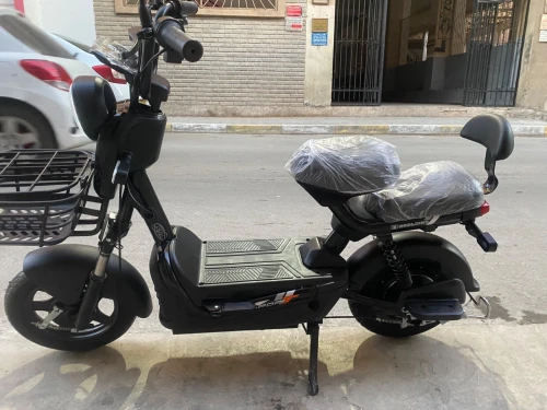 Sda Mini 2026