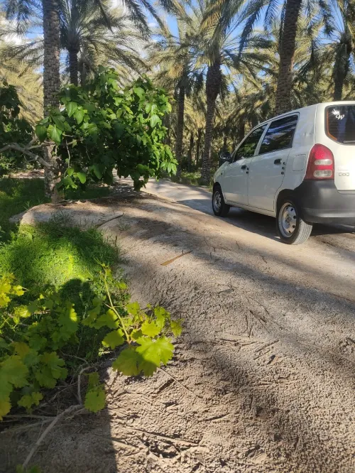 Suzuki Alto 2012 Alto