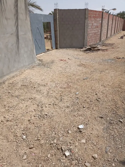 Location Terrain Biskra Biskra