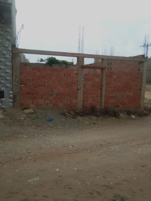 Vente Terrain Mostaganem Ain tadles