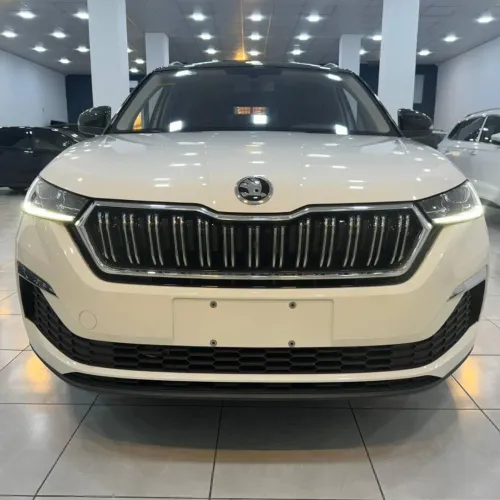 Skoda Kamiq 2024 Gt