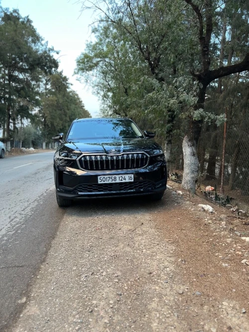 Skoda Kodiaq 2024 