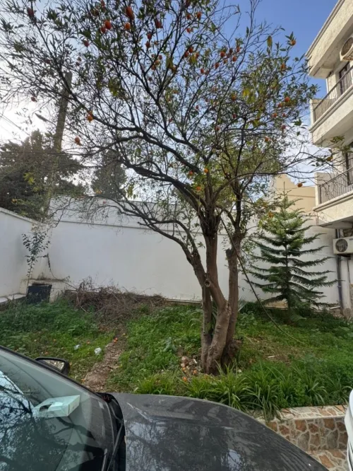 Location Villa Alger Hydra