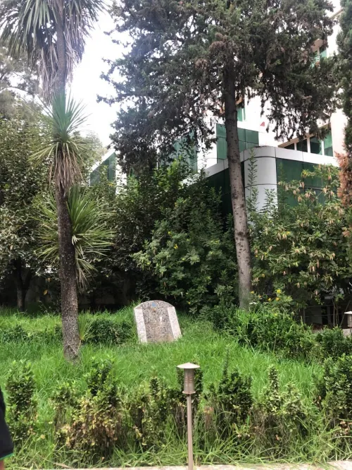 Location Immeuble Alger Hydra
