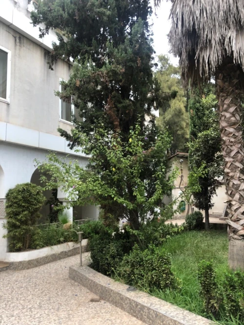 Location Immeuble Alger Hydra
