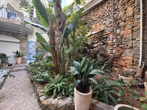 Location Villa Alger Hydra