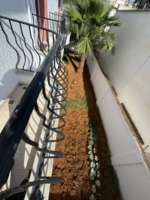 Location Villa Alger El biar