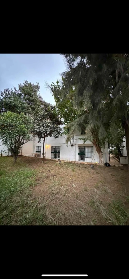 Vente Villa Alger Hydra
