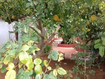 Location Villa Alger Hydra