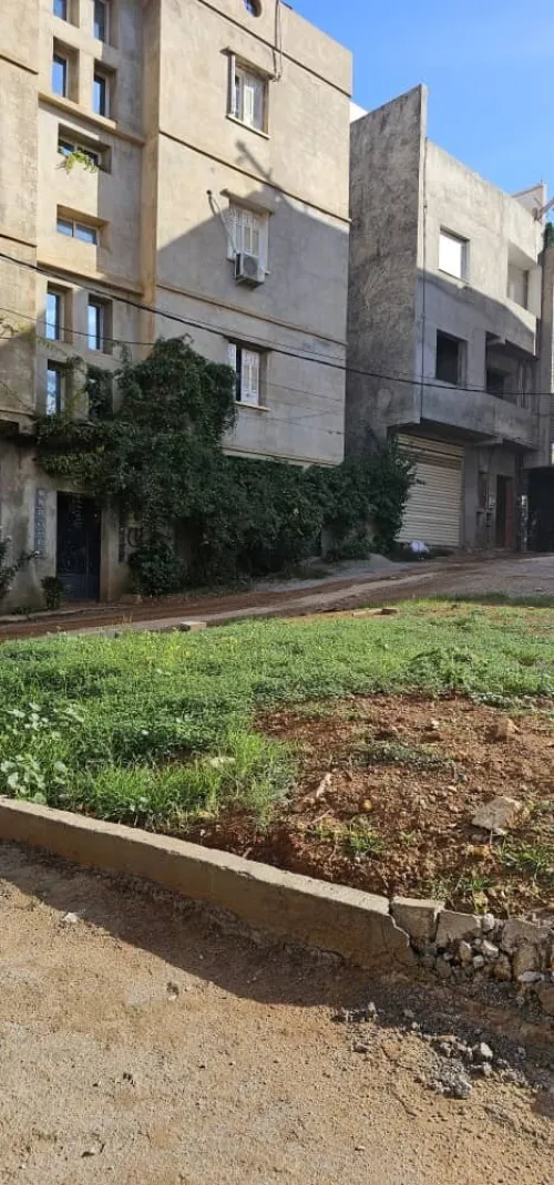 Vente Terrain Alger Saoula